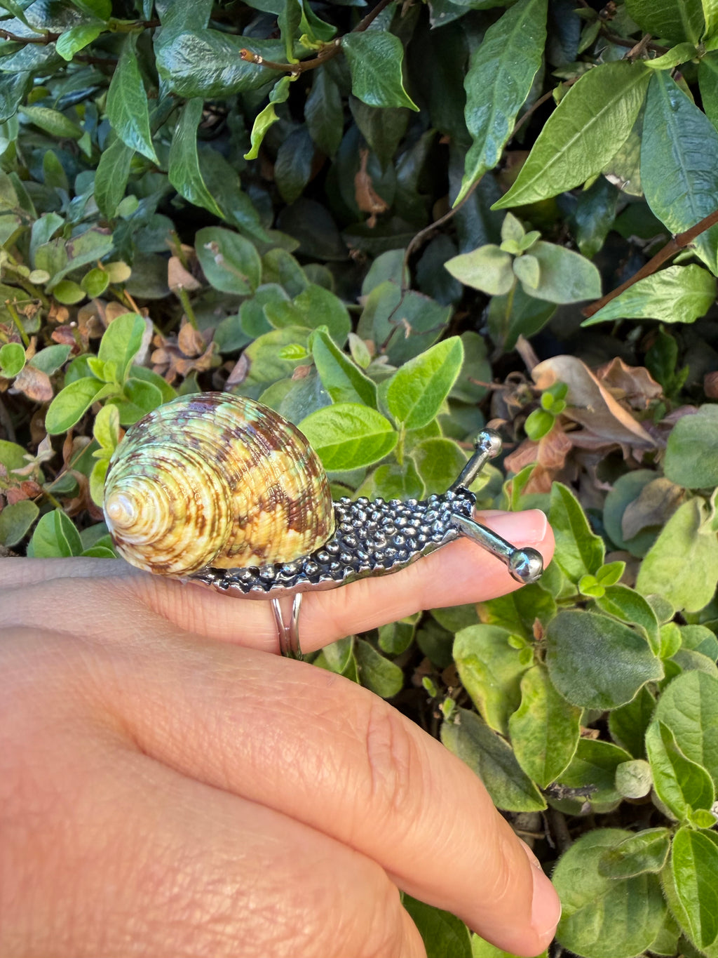 Snail Ring